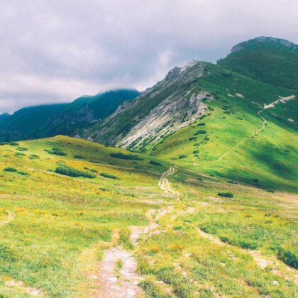 Sudadera con Capucha Gris